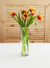 Tulips yellow red in vase on white background.