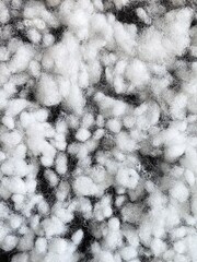 Closeup hollowfiber