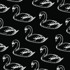 swans, birds, vector chalk seamless pattern isolated on dark background. Concept for print, cards, wallpaper