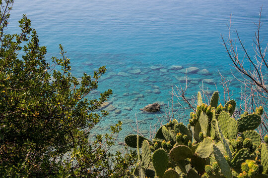 Mare riviera dei cedri
