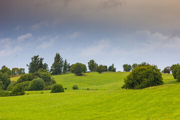 Landscape with a tree standing on a green meadow and clouds in the sky