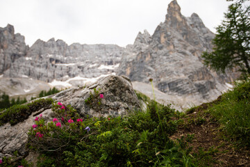 Lago di Sorapis lake. Landscape in the mountains.