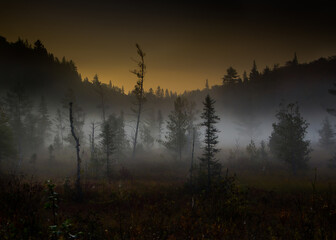 Early morning in Algonquin park, Ontario, Canada