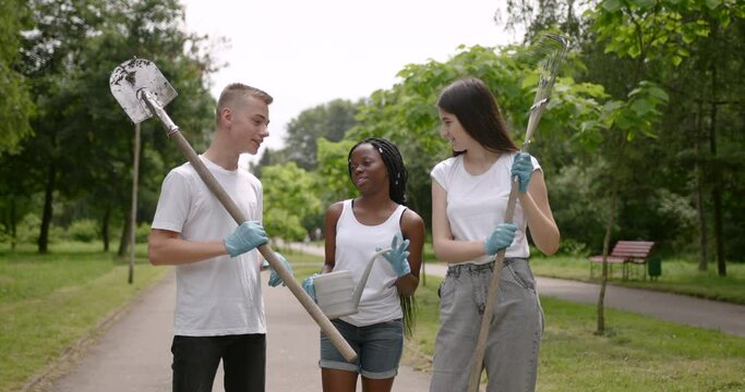 Three volunteers going to plant a seedling in park