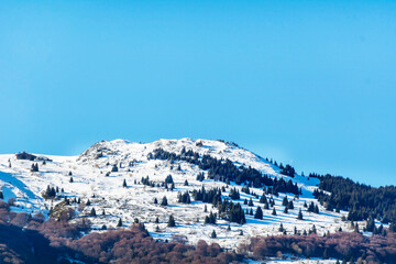 Beautiful Winter Snowy  Mountain Landscape with Pine Trees from Bulgaria ,Vitosha  Mountain