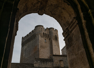 Abbaye de Montmajour, ( Montmajour Abbey) , Bouches-du-Rhône Department, in the region of Provence...