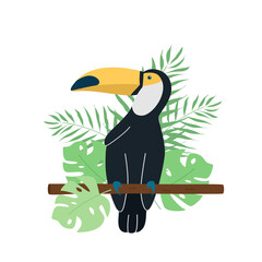 Cute cartoon toucan and leaves of palm trees and monstera. Vector illustration of a tropical bird isolated on white.