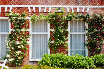 Fototapeta na wymiar Garden and flowers by the well-maintained window