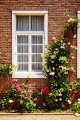 Fototapeta na wymiar Garden and flowers by the well-maintained window