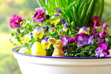 Closeup of a Happy Easter decoration with a little bunny, colored eggs and very colorful pansy flowers in full bloom.