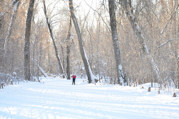 teen in the woods on skis