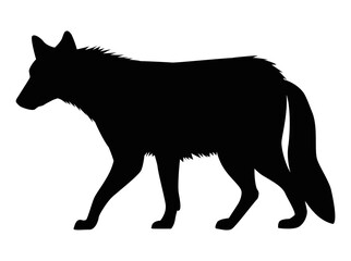 wild wolf walking silhouette
