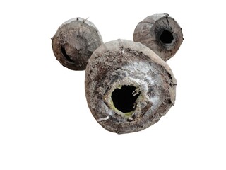 Front view of brown coconuts with white background
