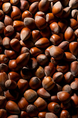 Close up of whole hazelnuts, protein rich ingredients, healthy eating concept