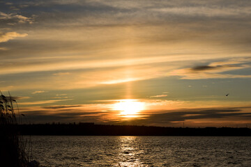 Fototapeta na wymiar Sunset cloudy sky and sea-gulls flying above the river,magic beauty of nature.