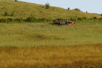 Obraz premium Amish Man with Work Horses Mowing a Hillside with a Bush Hog