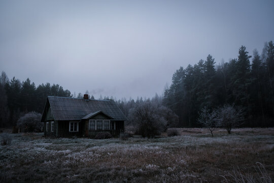 small country house in the middle of forest on a misty grey winter day