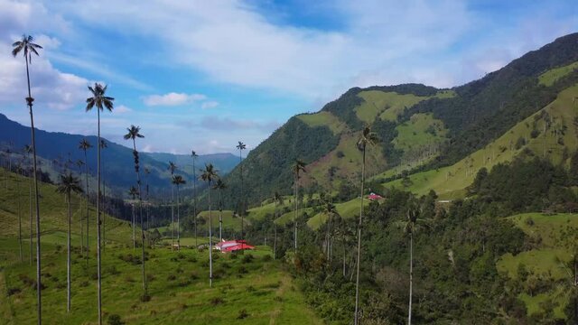 VALLE DEL COCORA, SALENTO, QUIND&Iacute;O, COLOMBIA 4K