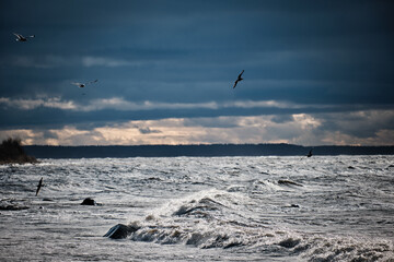 Fototapeta na wymiar dark clouds on a windy beach shore coast