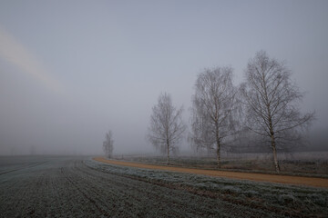 Fototapeta na wymiar empty gravel road on a misty cold winter day with tree