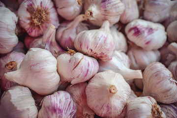 Fresh garlic at the market in Italy