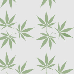cannabis leaves (color)