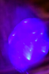 The abstract color neon texture background