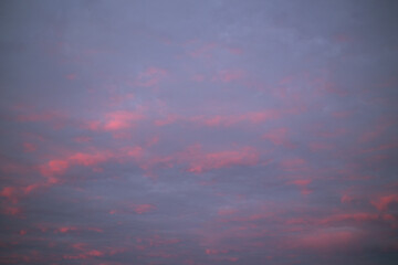 red, pink clouds in the sunset sky