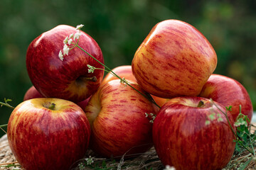 red juicy delicious apples, bunch of apples