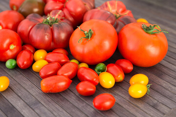 different varieties of ripe red and yellow appetizing tomatoes
