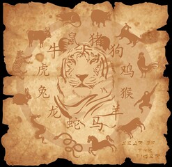 year of thge tiger  illustration