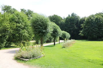 Landschaft im Kurpark Bad Fallingbostel