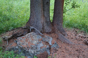 Beautiful landscape of Altay region, Russia