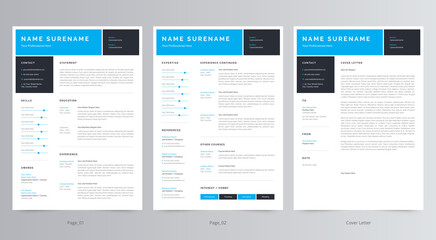 Professional Resume/CV and Cover Letter Template