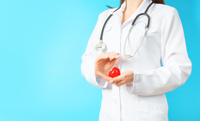 Cardiology, heart care and health care concept with a cardiologist holding a figure of a heart in...