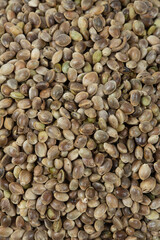 hemp seed isolated on white background