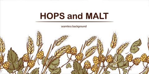 Hops and malt seamless background or repeatable frame lower part for beer brewing and packaging, hand drawn style vector illustration isolated on white background. Vintage beer endless template. - obrazy, fototapety, plakaty