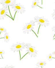 Seamless pattern of daisies and on a white background