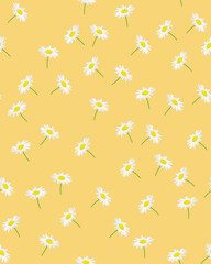 Seamless pattern of daisies and on a yellow background