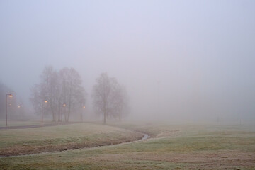 mist by the creek