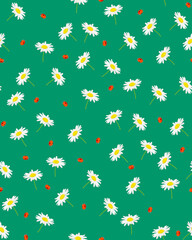 Seamless pattern of daisies on a green background