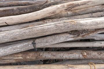 Branches de bois flottés entassées.	
