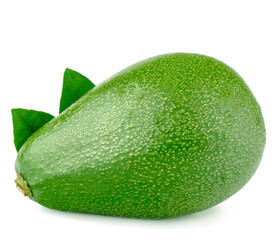 Avocado isolated on a white background