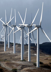 Maui electricity wind power turbines