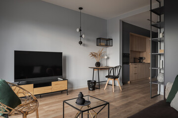 Open plan studio apartment with big tv