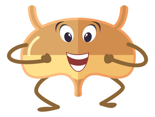 Funny bladder character. Cute cartoon human organ