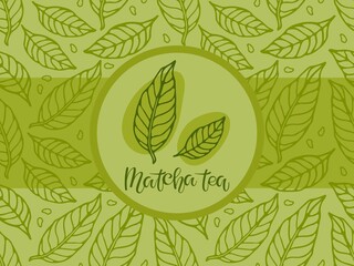 Label, wrapper for green matcha Tea. Seamless pattern with green leaves sketch and handwritten calligraphy inscription. Drink background for bar, restaurant menu, party decor, beverage template