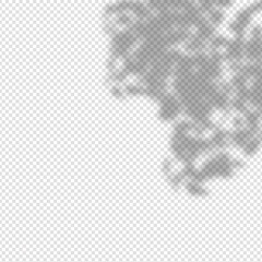 The effect of overlaying shadows. Natural light layout.