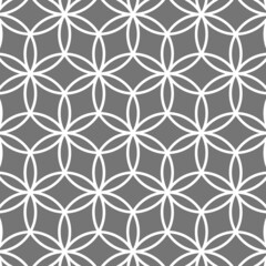 Crossed circle pattern. White line ornament in classic arabic style