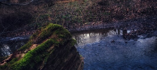 View of a shore and river